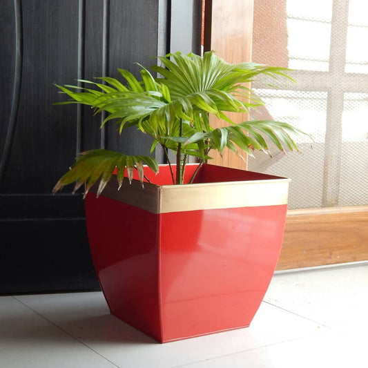 Midland 12 inches Red Tapered Planter Large Planters freeshipping - Ecofynd