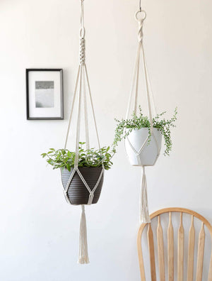ecofynd Macrame Cotton Plant Hanger (Set of 2)