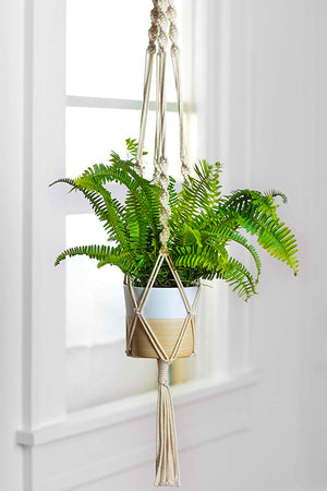 ecofynd Ecofynd Ivory Boho Twisted Macrame Plant Hanger (45 Inch)