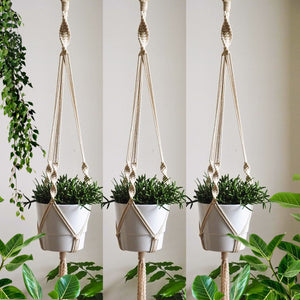 ecofynd Minimalist Macrame Plant Hanger (Set of 3)