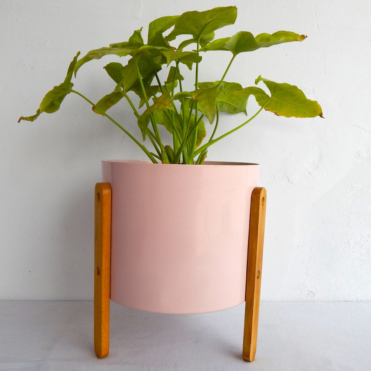 ecofynd 8 inches Edy Pink Metal Planter Pot with Wooden Stand Planter freeshipping - Ecofynd