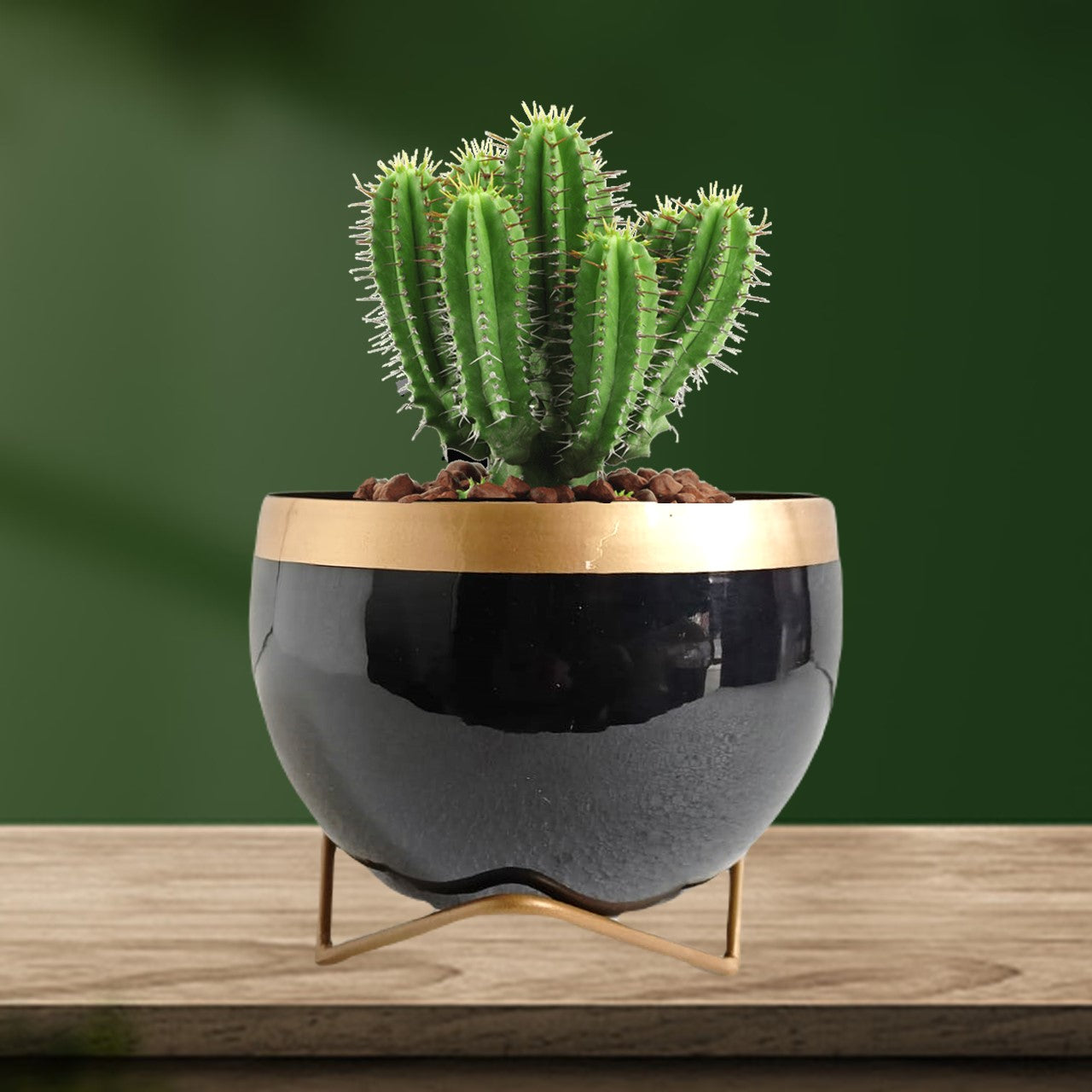 ecofynd 5 inches Elis Black Metal Planter Pot with Gold Stand Planter freeshipping - Ecofynd