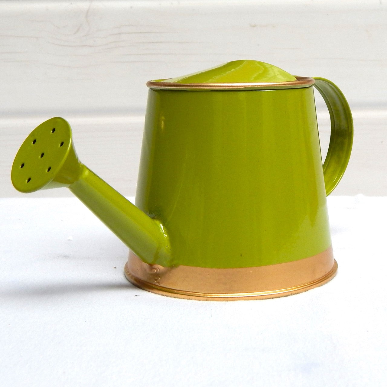 Ecofynd Light Green Watering Can for Kids 250 ml