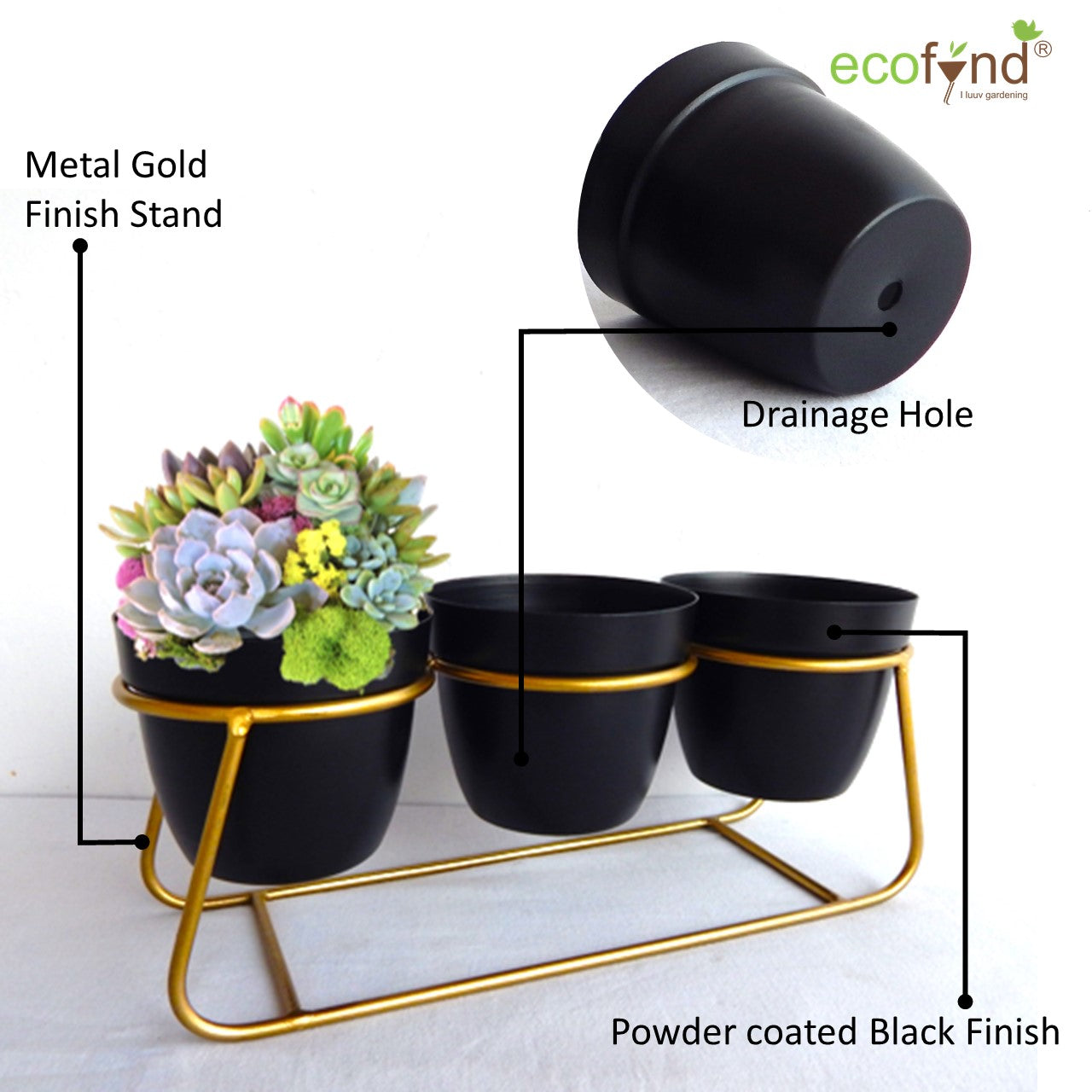 ecofynd 4 inches Bella Black Metal Planter Pot with Gold Stand Planter freeshipping - Ecofynd
