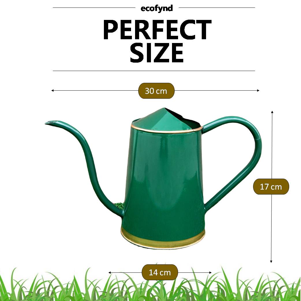 ecofynd 2 Liter Dark Green Watering Can with Long Spout Watering Can freeshipping - Ecofynd