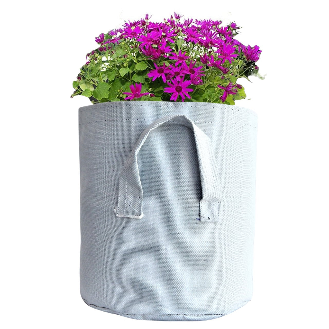 ecofynd Non Woven Fabric Pots Grow Bags Plant Bag freeshipping - Ecofynd
