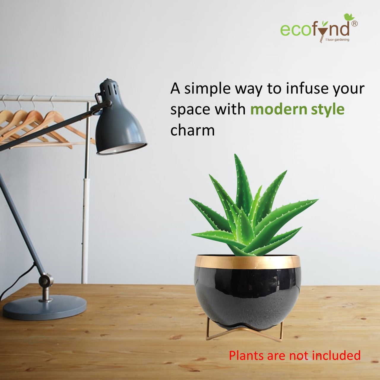 ecofynd 5 inches Elis Black Metal Planter Pot with Gold Stand Planter freeshipping - Ecofynd