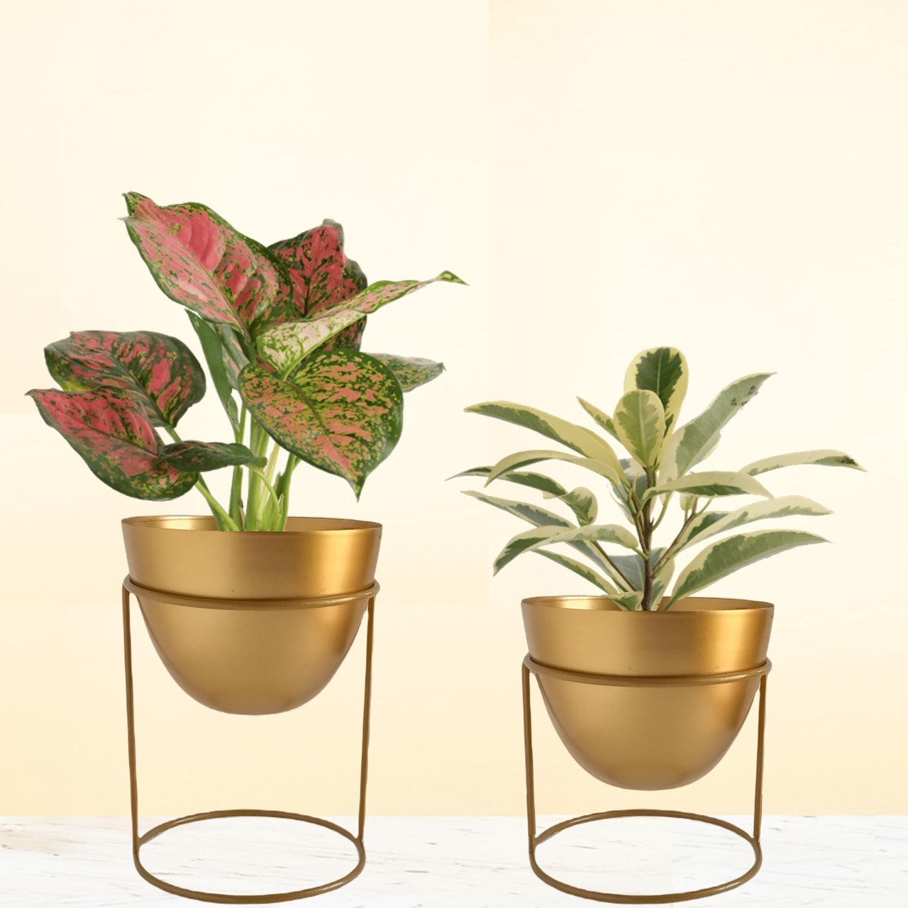 Alle Gold Metal Plant Pot with Stand (Set of 2)