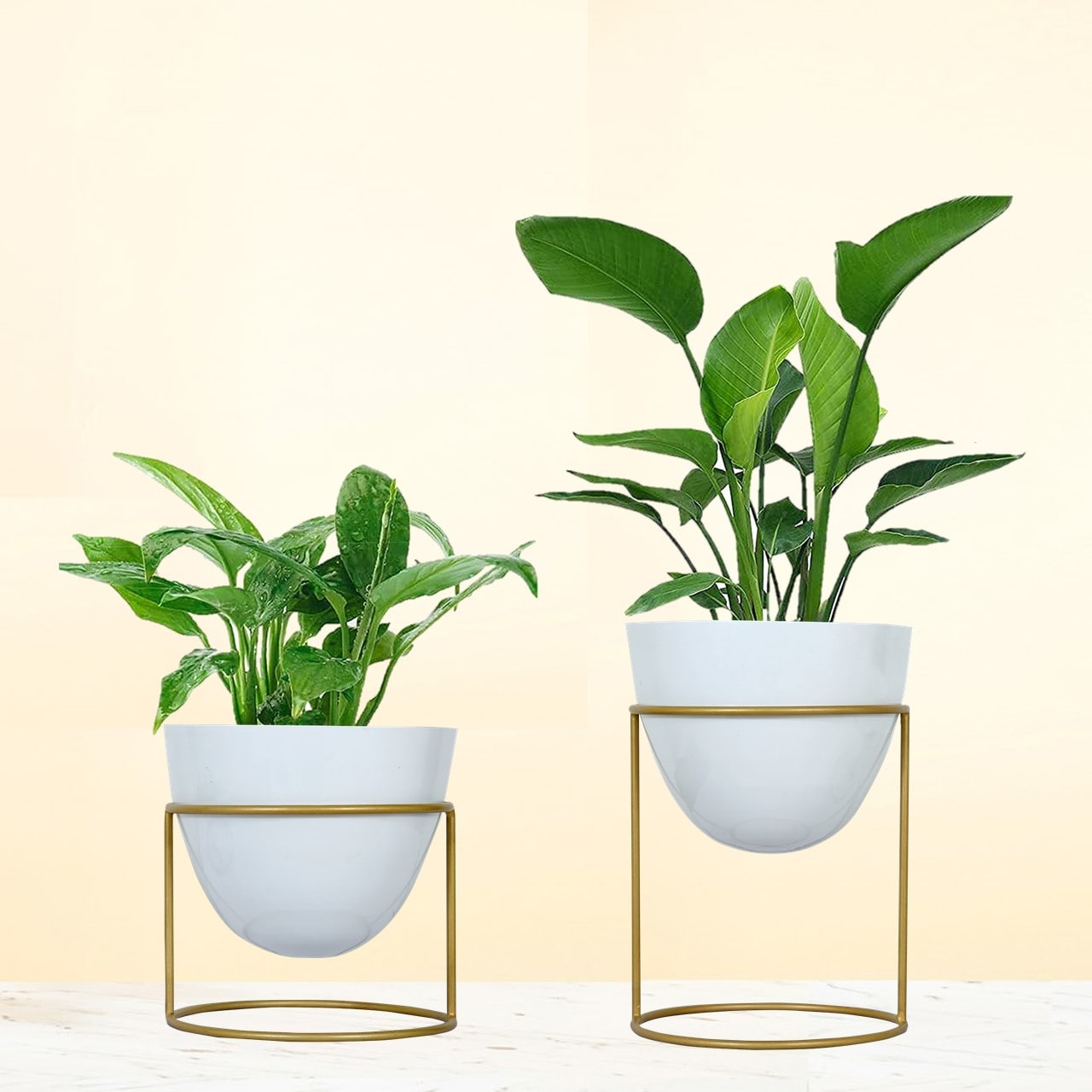 Alle White Metal Plant Pot with Stand (Set of 2)