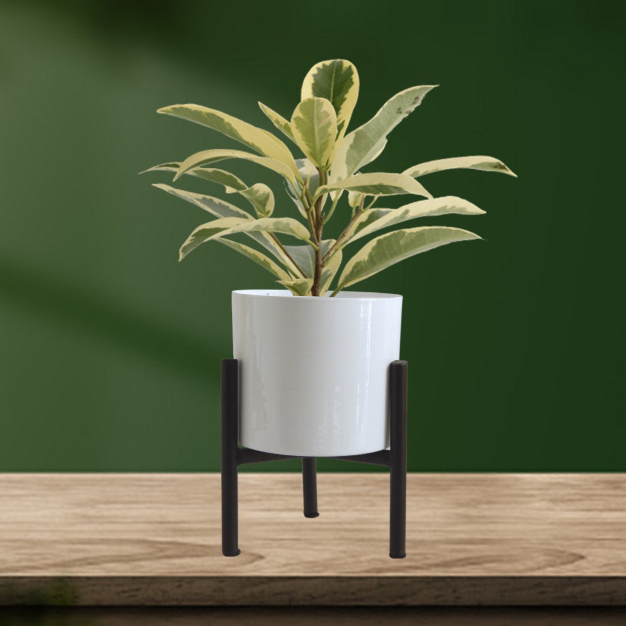 Nia White Metal Plant Pot with Stand