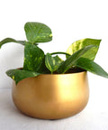 ecofynd Gleam & Green: Zoe Gold Metal Pot by Ecofynd