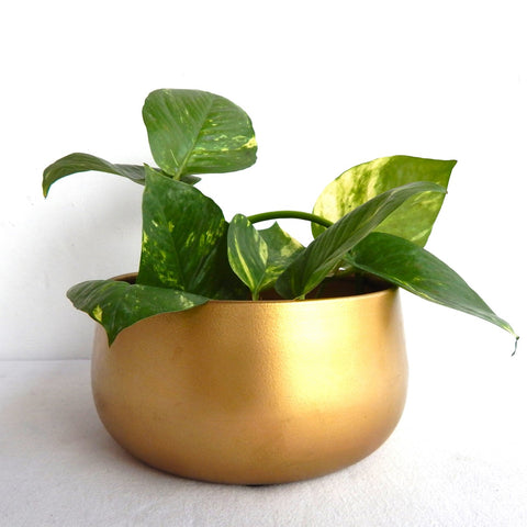ecofynd Gleam & Green: Zoe Gold Metal Pot by Ecofynd