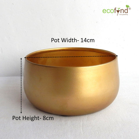 ecofynd Gleam & Green: Zoe Gold Metal Pot by Ecofynd