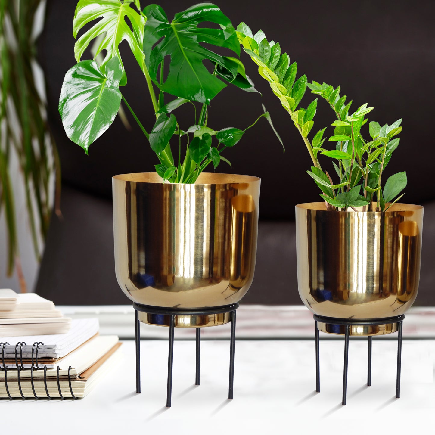 Eva Metal Plant Pot with Stand