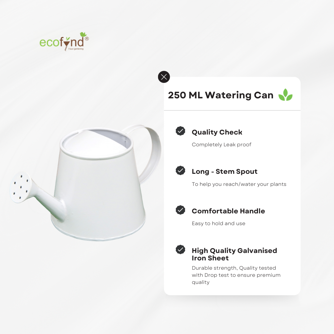 ecofynd 250 ml White Watering Can with Gold Border for Kids Watering Can freeshipping - Ecofynd