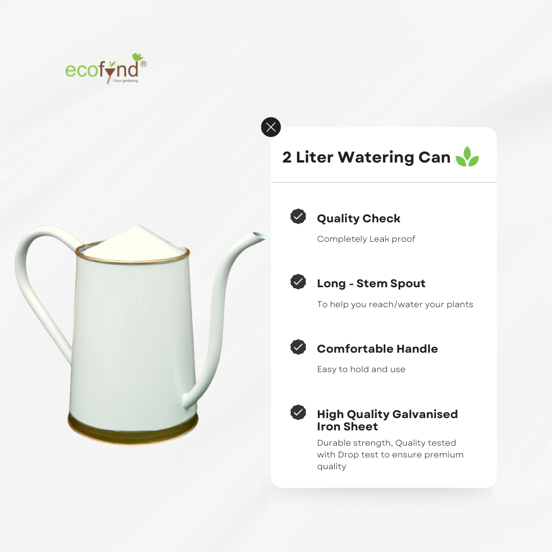ecofynd 2 Liter White Watering Can with Long Spout Watering Can freeshipping - Ecofynd