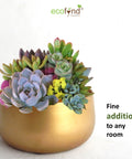 ecofynd Gleam & Green: Zoe Gold Metal Pot by Ecofynd