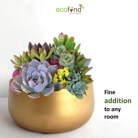 ecofynd Gleam & Green: Zoe Gold Metal Pot by Ecofynd